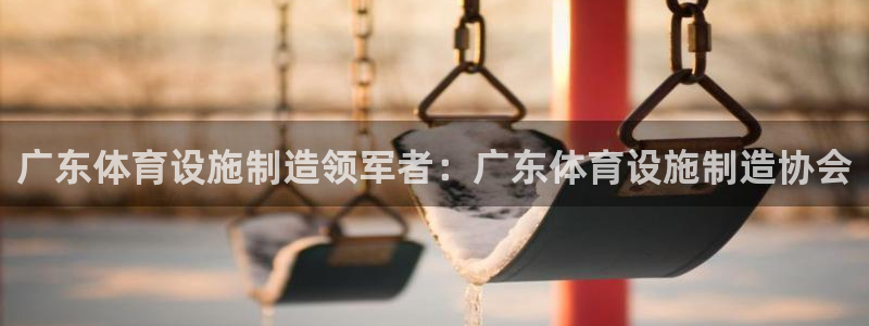 意昂体育3联系电话：广东体育设施制造领军者：广东体育