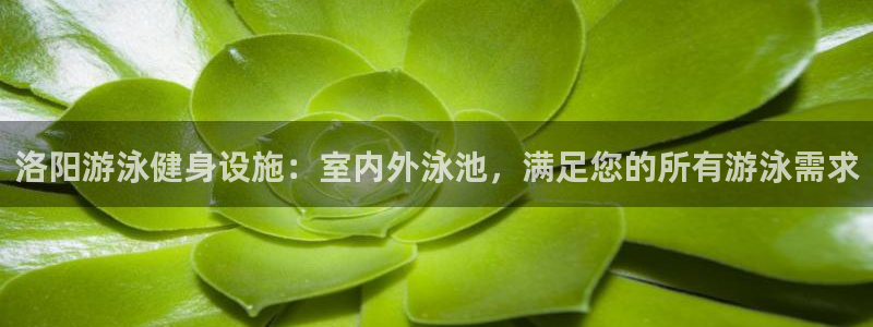 意昂3娱乐：洛阳游泳健身设施：室内外泳池，满足您的所