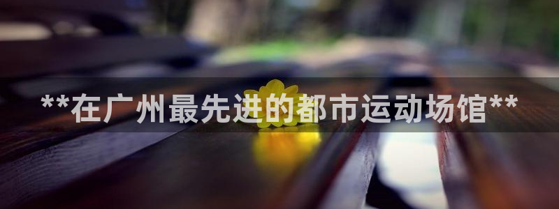 意昂体育3开户：**在广州最先进的都市运动场馆**