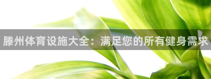 意昂体育3招商：滕州体育设施大全：满足您的所有健身需