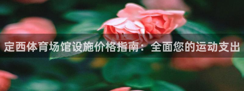 意昂体育3娱乐：定西体育场馆设施价格指南：全面您的运