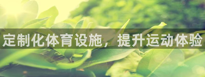 意昂3官方：定制化体育设施，提升运动体验