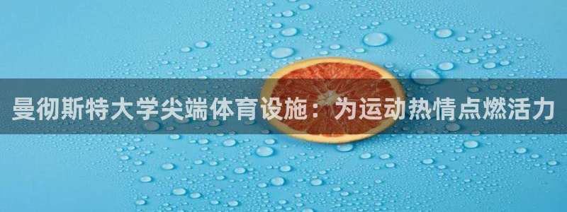 意昂平台体育