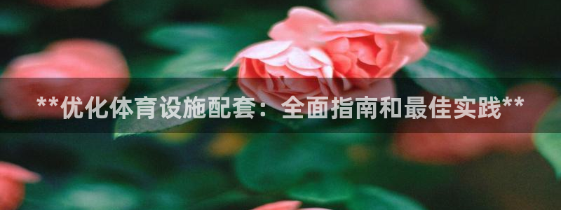 意昂体育3平台注册流程图：**优化体育设施配套：全面