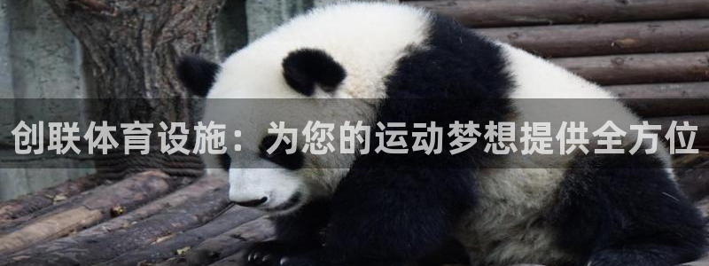 意昂体育3平台注册要钱吗安全吗：创联体育设施：为您的
