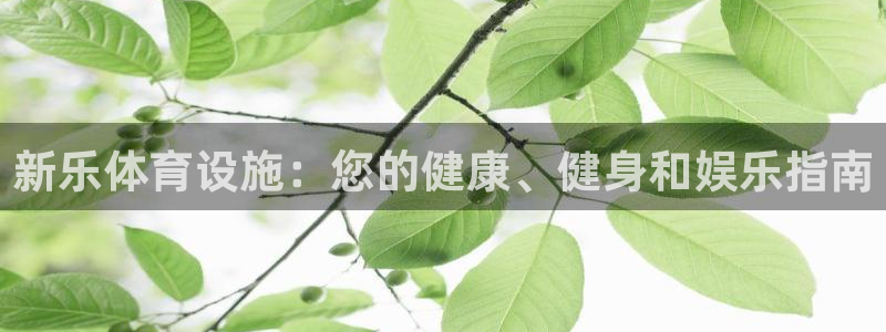 意昂体育3招商电话：新乐体育设施：您的健康、健身和娱