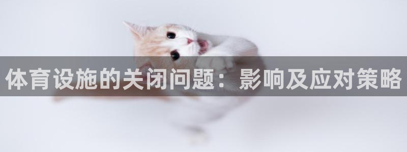 意昂3集团