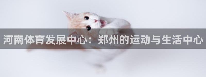 意昂3集团logo