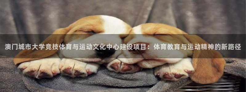意昂体育3