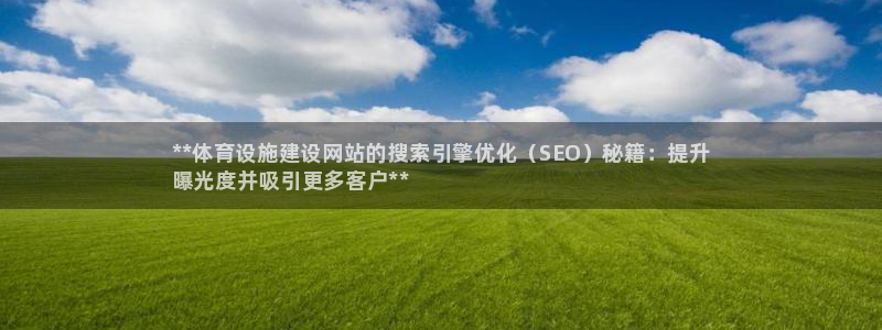 意昂3娱乐首页网站大全：**体育设施建设网站的搜索引擎优化（