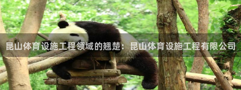 意昂3集团官网首页网址：昆山体育设施工程领域的翘楚：昆山体育