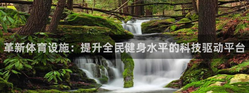 意昂平台体育