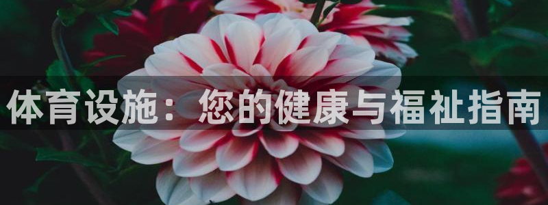 意昂3神州：体育设施：您的健康与福祉指南