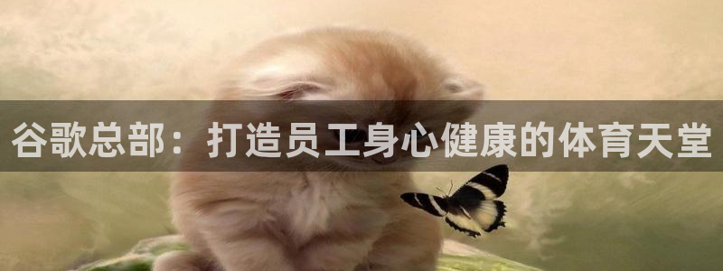 意昂3娱乐平台：谷歌总部：打造员工身心健康的体育天堂