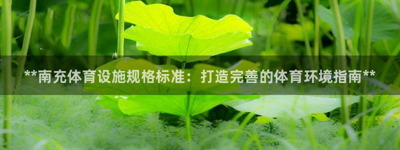 海南意昂体育3：**南充体育设施规格标准：打造完善的