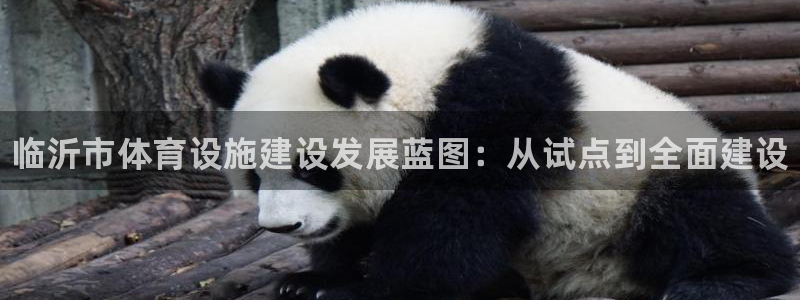 意昂体育3招商电话号码