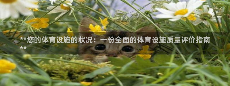 意昂3集团官网首页网址：**您的体育设施的状况：一份全面的体