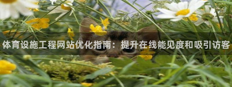 意昂体育3平台是正规平台吗：体育设施工程网站优化指南：提升在