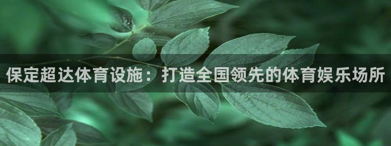 德国意昂3集团：保定超达体育设施：打造全国领先的体育娱乐场所