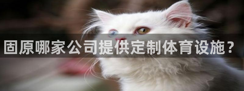 意昂3神州：固原哪家公司提供定制体育设施？