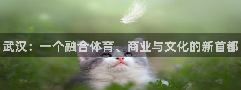 意昂3娱乐40996：武汉：一个融合体育、商业与文化的新首都