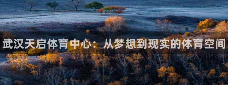 意昂3娱乐40996：武汉天启体育中心：从梦想到现实的体育空 