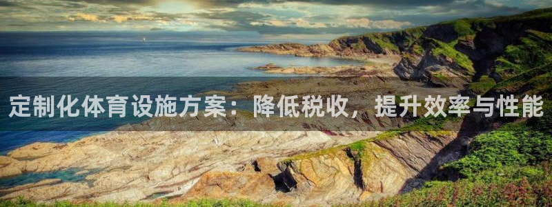 意昂3娱乐平台：定制化体育设施方案：降低税收，提升效