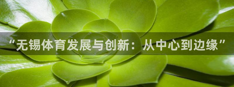 意昂体育3平台假的吗是真的吗：“无锡体育发展与创新：从中心到