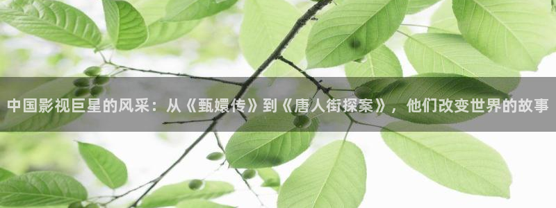 五五影院免费在线观看：中国影视巨星的风采：从《甄嬛传》到《唐人街探案》，他们改变世界的故事