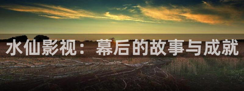 五五影院免费电视剧：水仙影视：幕后的故事与成就