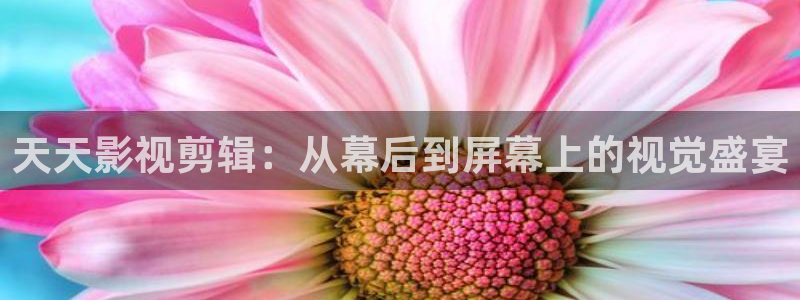 五五影视官方网：天天影视剪辑：从幕后到屏幕上的视觉盛宴