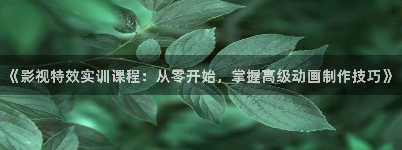 五五影院免费在线观看：《影视特效实训课程：从零开始，掌握高级动画制作技巧》