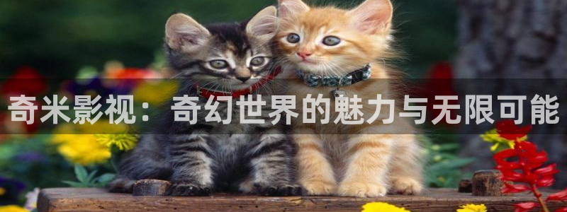 五五看影视官网：奇米影视：奇幻世界的魅力与无限可能