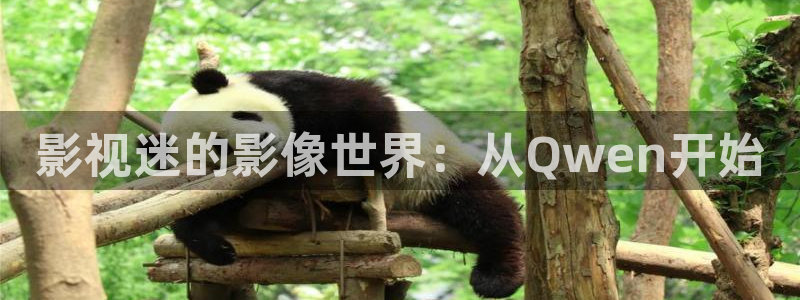 五五五电影网：影视迷的影像世界：从Qwen开始