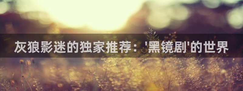 五五电影网：灰狼影迷的独家推荐：\'黑镜剧\'的世界