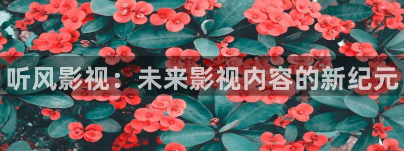 五五影视官方：听风影视：未来影视内容的新纪元