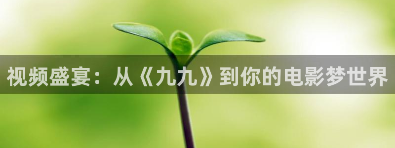 五五影视官方：视频盛宴：从《九九》到你的电影梦世界