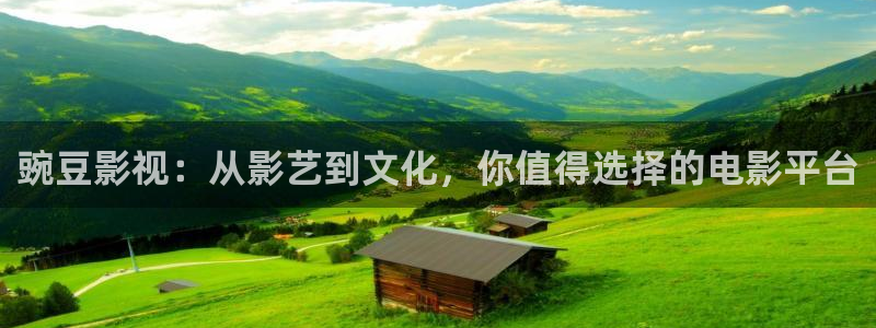 五五五影视最新电影：豌豆影视：从影艺到文化，你值得选择的电影平台