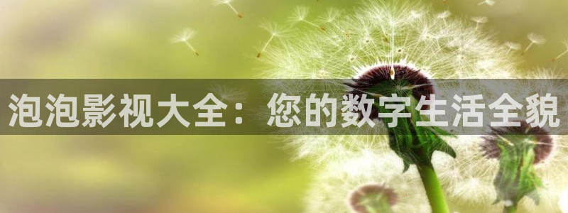 五五五电影院：泡泡影视大全：您的数字生活全貌