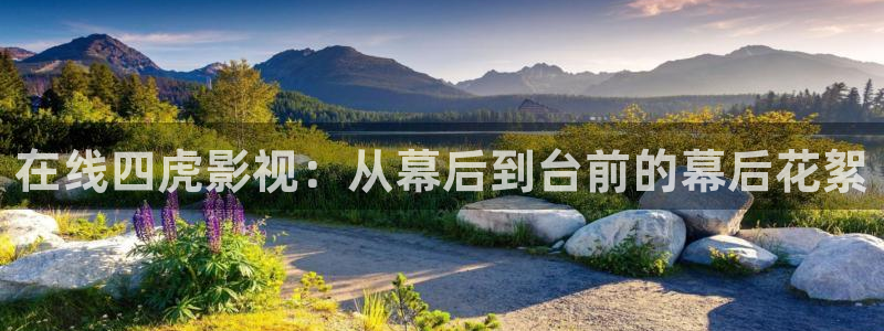 五五影片：在线四虎影视：从幕后到台前的幕后花絮