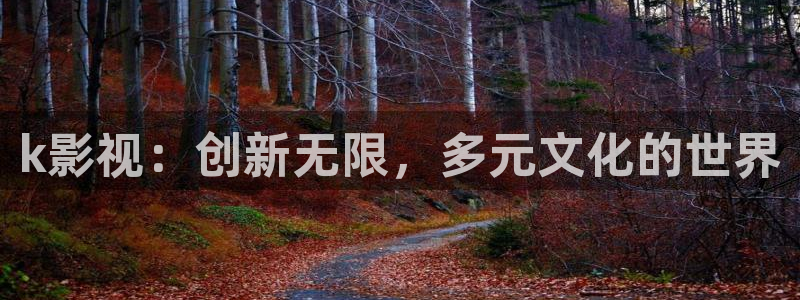 五五婷婷影院：k影视：创新无限，多元文化的世界